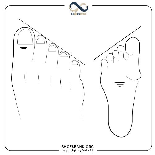 مدل پای مصری
